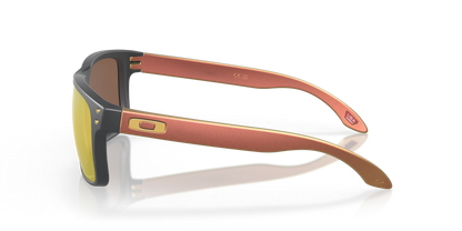 Holbrook Prizm Polar